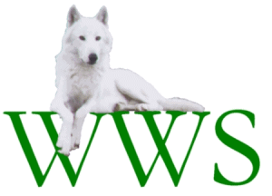 White Wolf Sanctuary, a central Oregon Coast travel destination